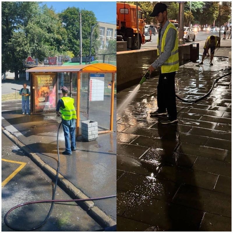 collage.png collage.png