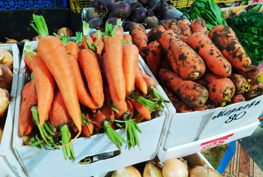 Морковь.jpeg Морковь.jpeg