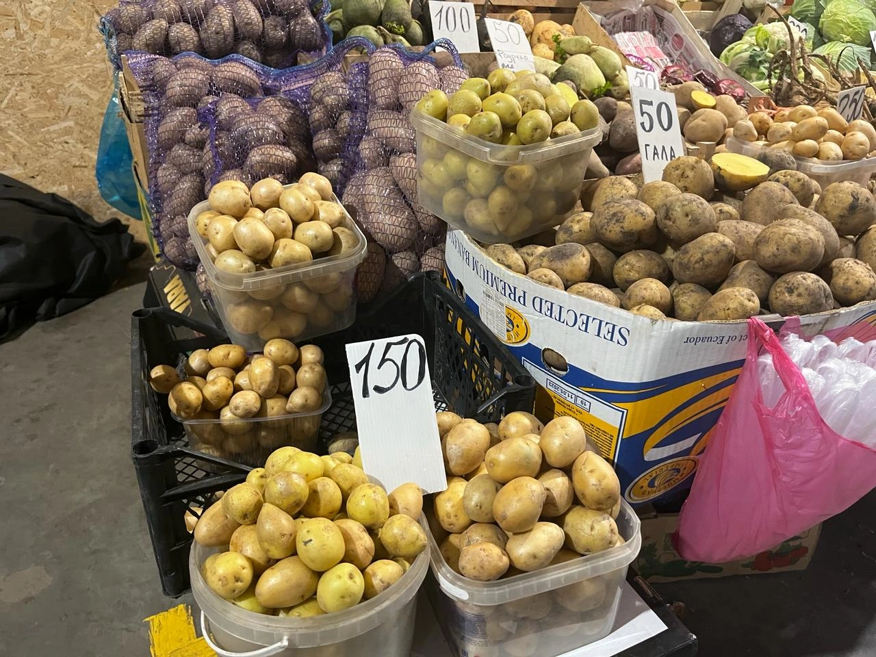 картохаМолодая.jpeg картохаМолодая.jpeg