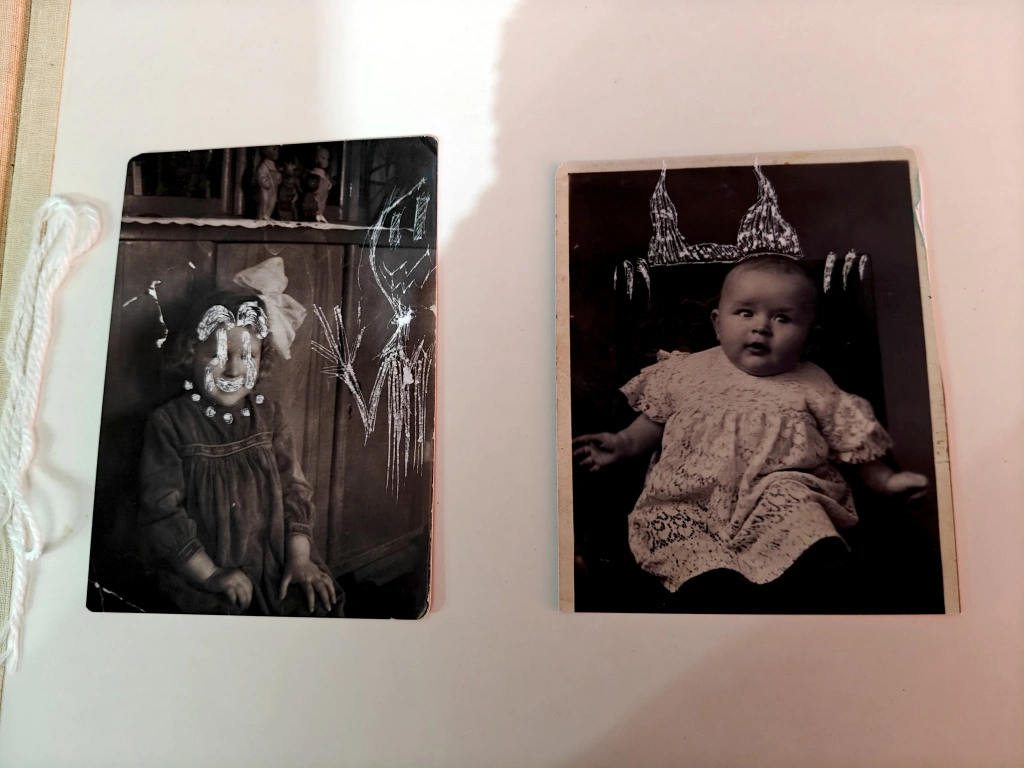 IMG_20250326_164658.jpg IMG_20250326_164658.jpg