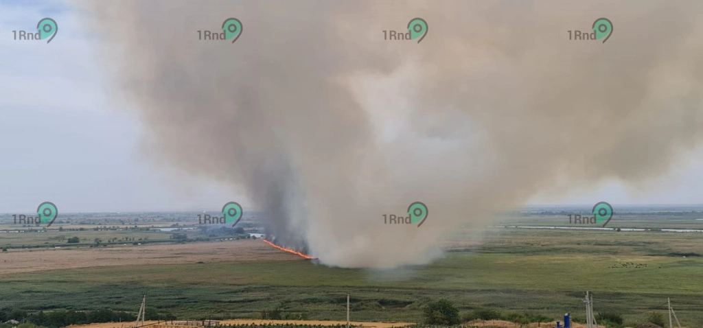 66d31740e9dff_8ab6be85-1a7f-40b7-a40e-b063d2cfe88f.jpg 66d31740e9dff_8ab6be85-1a7f-40b7-a40e-b063d2cfe88f.jpg