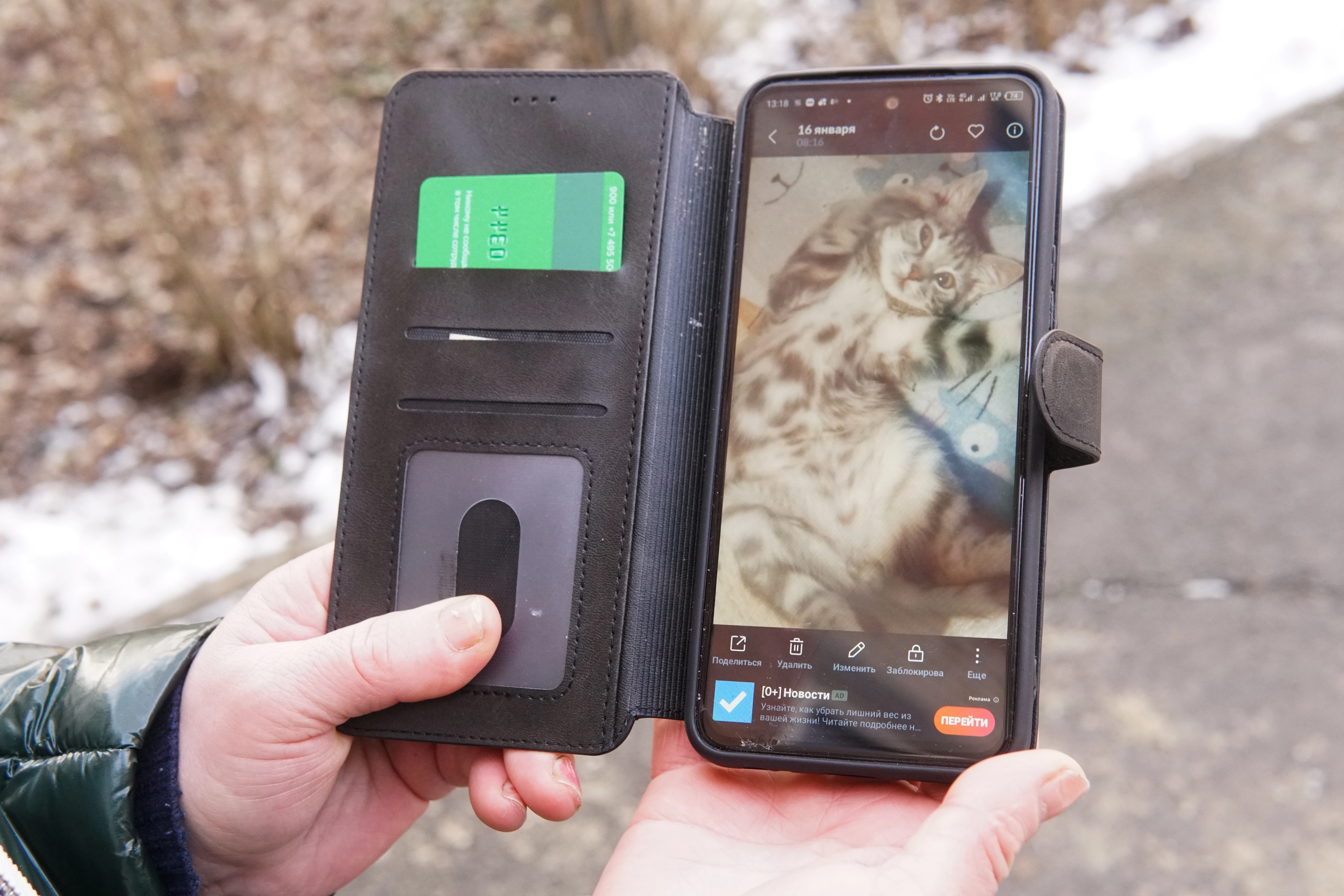 Фото кота Матвея. Его удалось спасти DSC05044.jpg