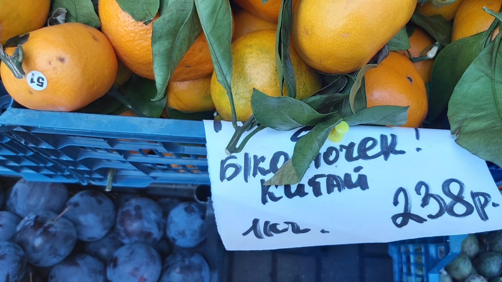 мандарин.jpg мандарин.jpg