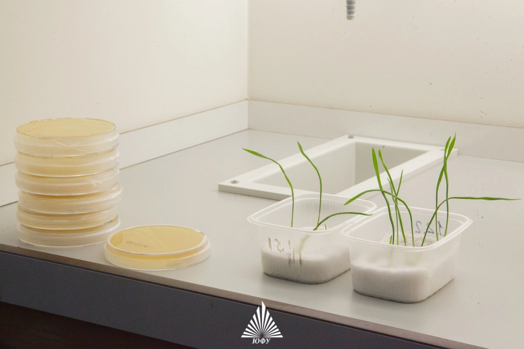 IMG_9574 (1).jpg IMG_9574 (1).jpg