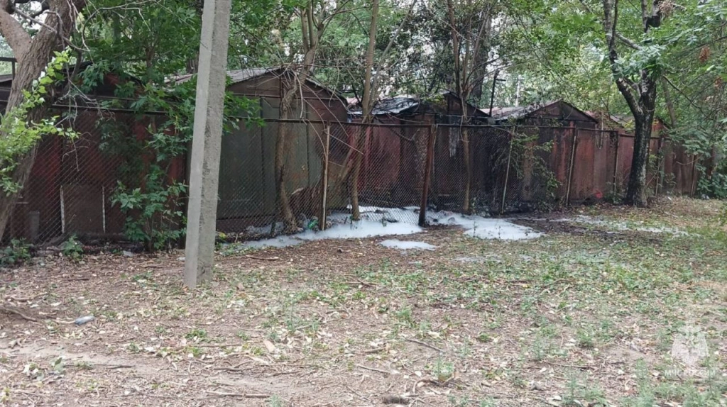 d34d490c-ea49-4627-8571-7fb55f487017.jpg d34d490c-ea49-4627-8571-7fb55f487017.jpg