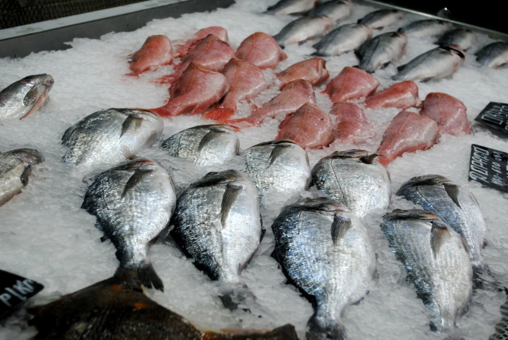 Рыба2.jpg Рыба2.jpg