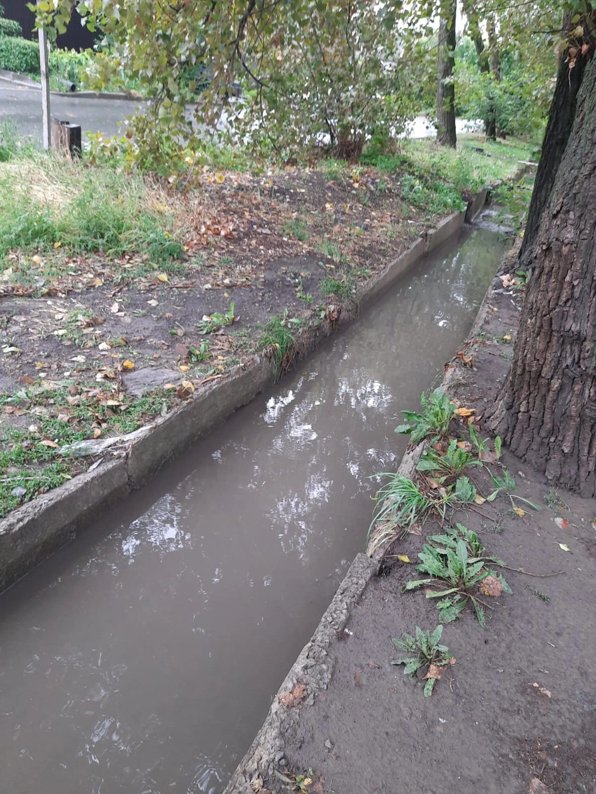 ливневка1.jpg ливневка1.jpg