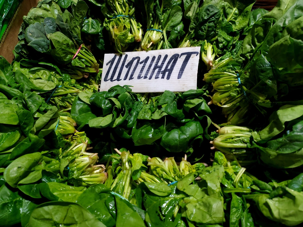 IMG_20250207_101739 (1).jpg IMG_20250207_101739 (1).jpg