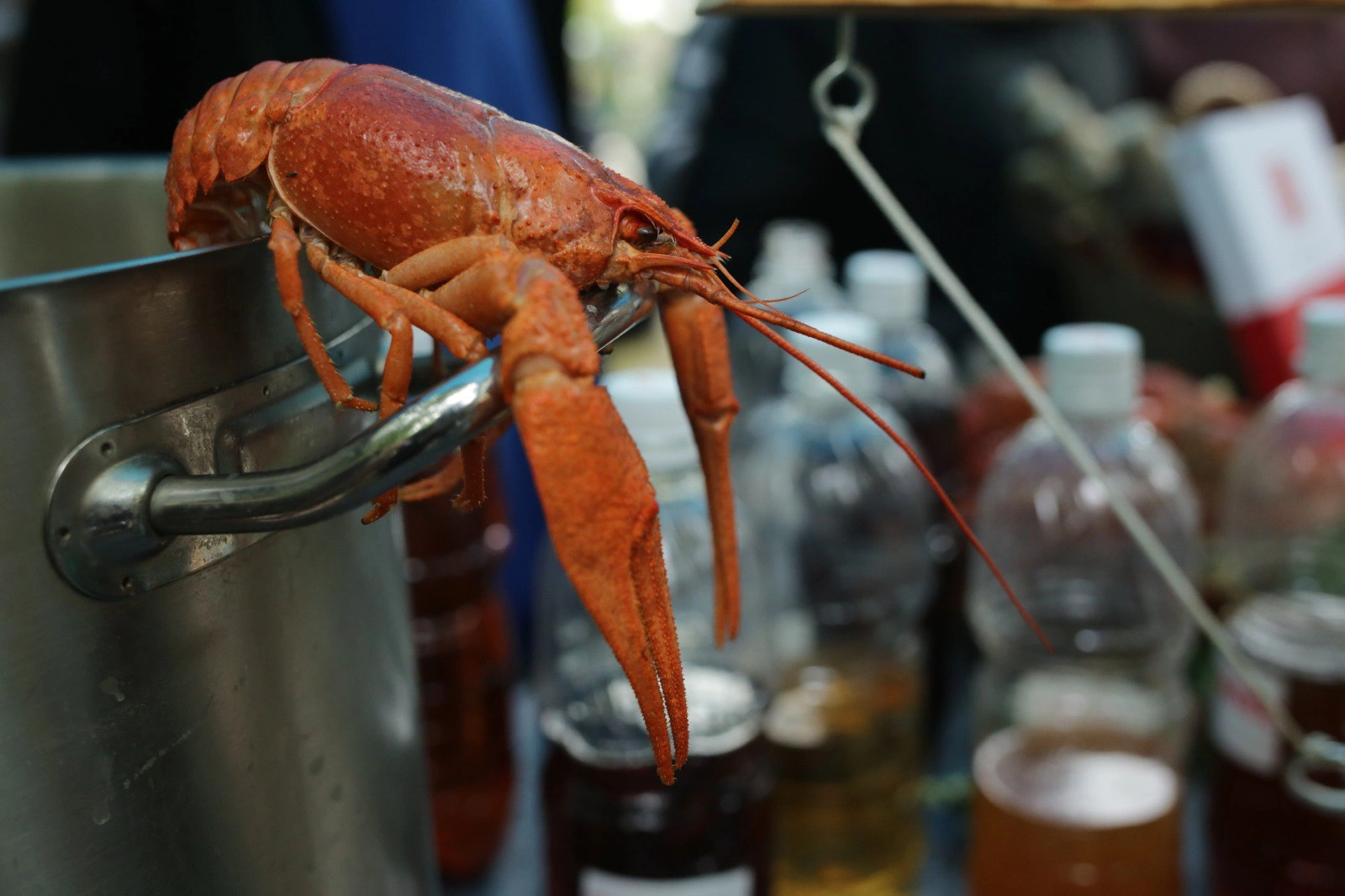 День Города.jpg День Города.jpg