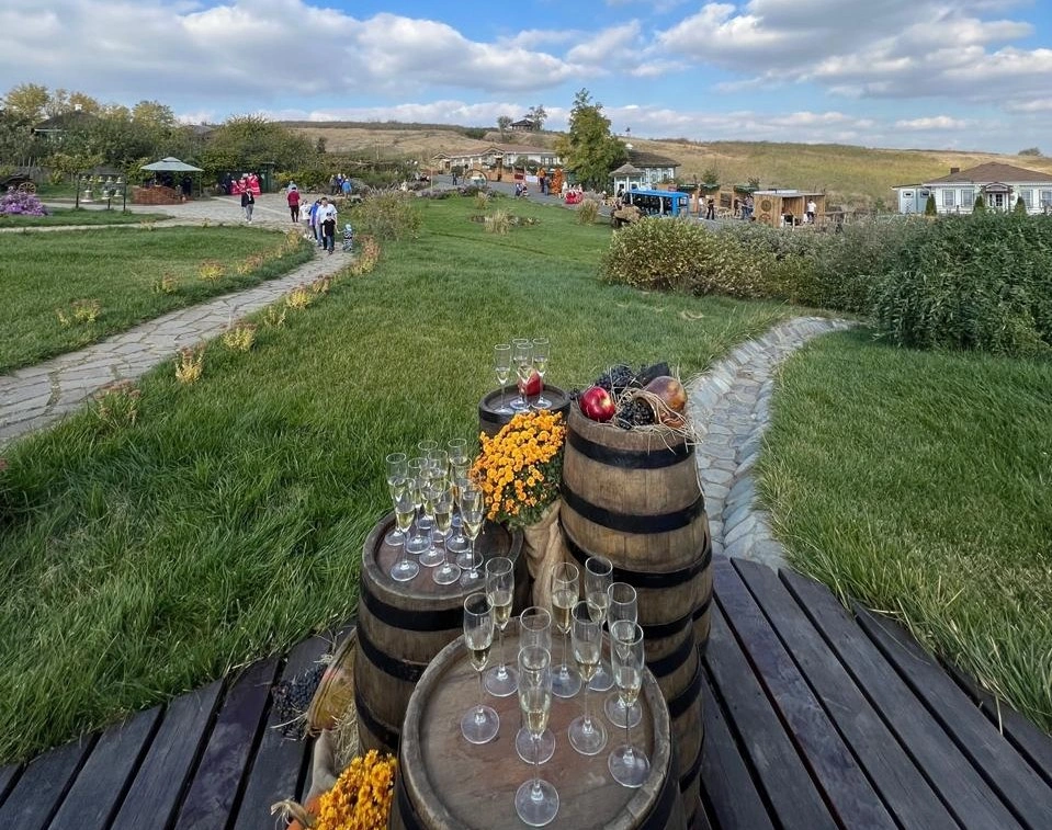 Бал хризантем в Старозолотовском, фото огранизаторов Бал хризантем в Старозолотовском