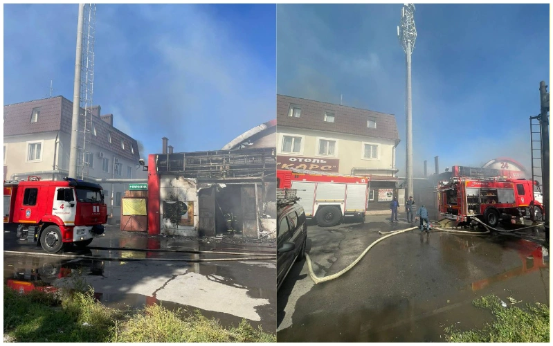 collage.png collage.png