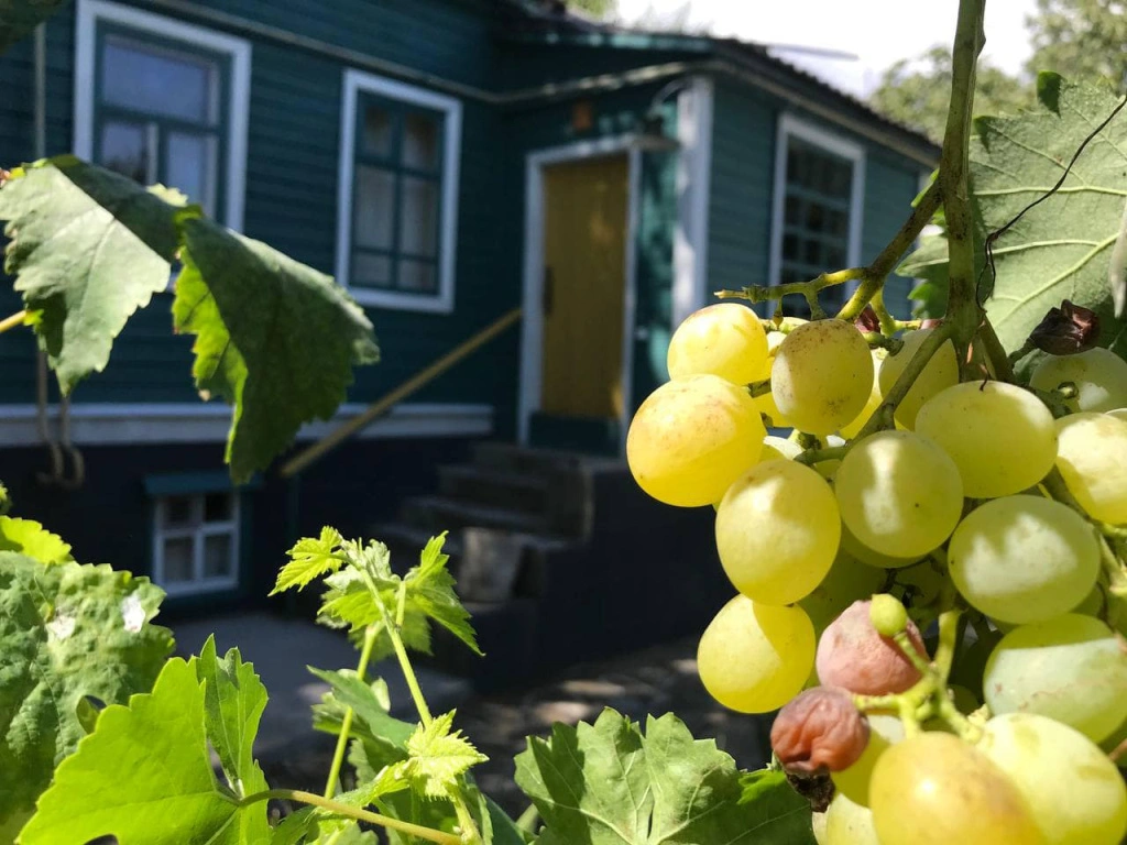 дом.jpg дом.jpg