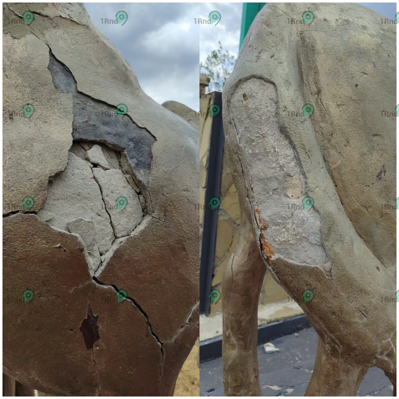 668306e470b76_collage (1).png 668306e470b76_collage (1).png