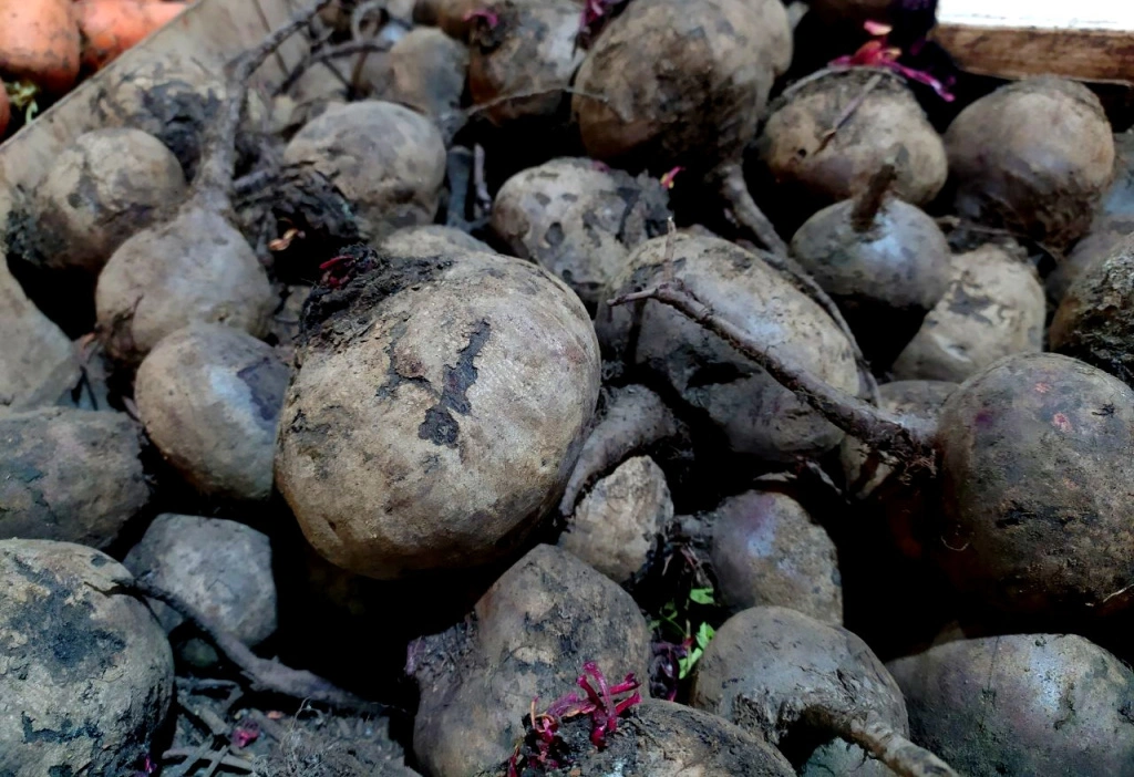 5375393506908038148 (1).jpg 5375393506908038148 (1).jpg