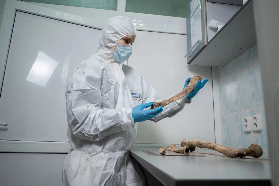 WhatsApp Image 2023-07-04 at 17.13.36 (1).jpeg WhatsApp Image 2023-07-04 at 17.13.36 (1).jpeg