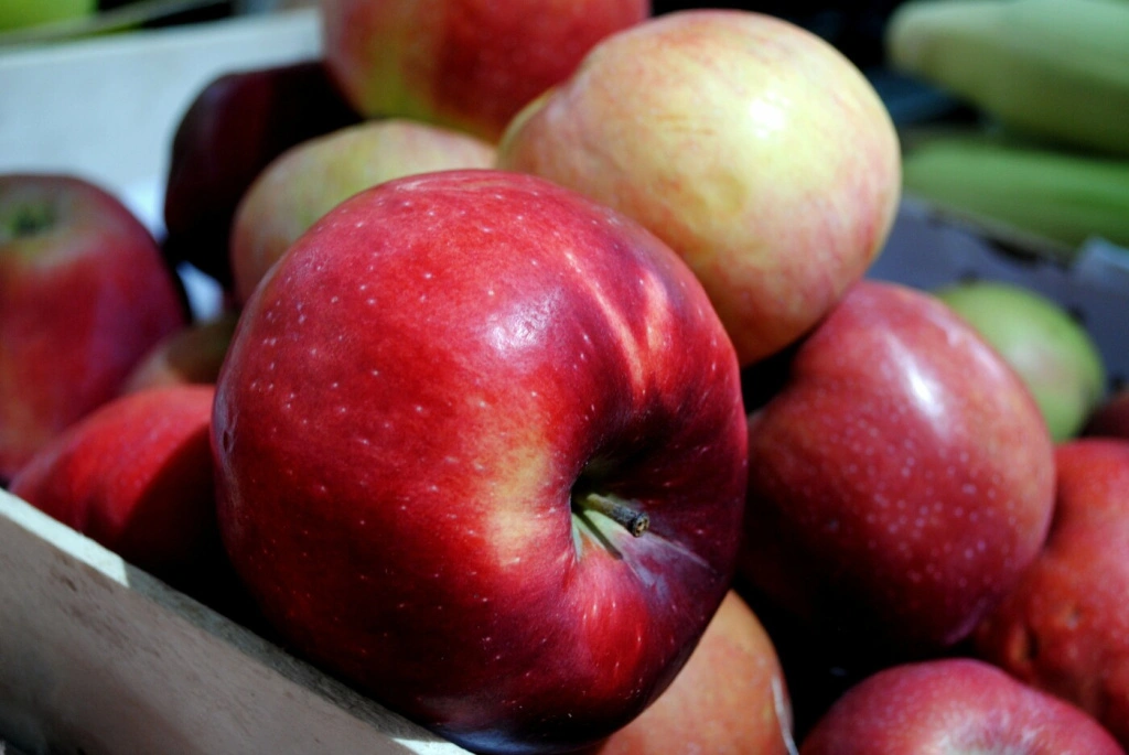 Фрукты5.jpg Фрукты5.jpg