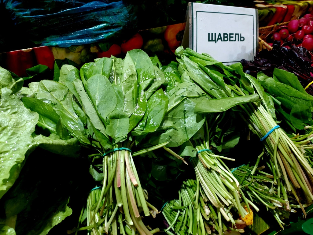 IMG_20250207_101534 (1).jpg IMG_20250207_101534 (1).jpg