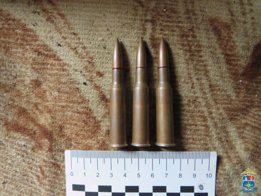 патроны.JPG патроны.JPG