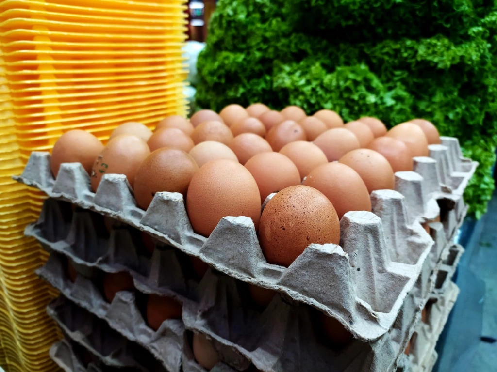 f0a7b953-2d87-45f7-ad23-ed57518aa7d0.jpg f0a7b953-2d87-45f7-ad23-ed57518aa7d0.jpg