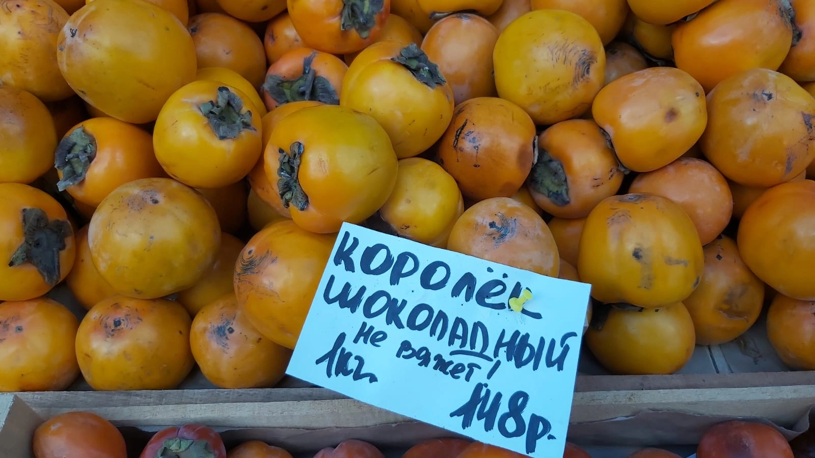 хурма.jpeg хурма.jpeg