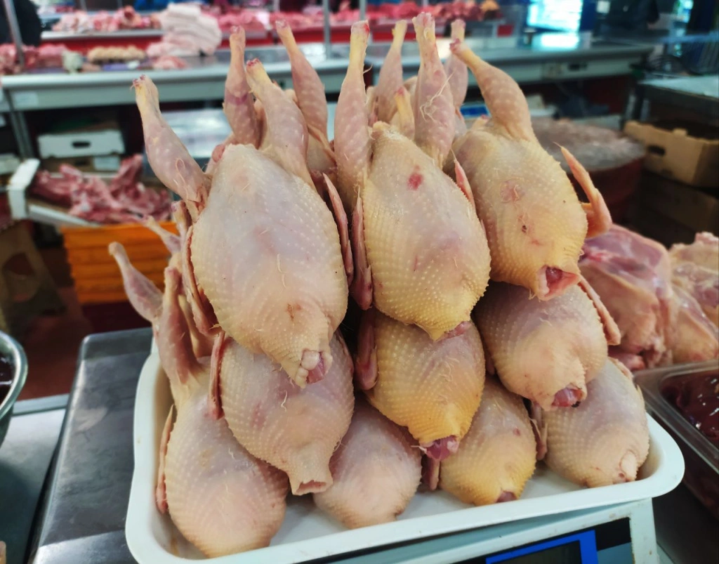 5289671590382004192.jpg 5289671590382004192.jpg