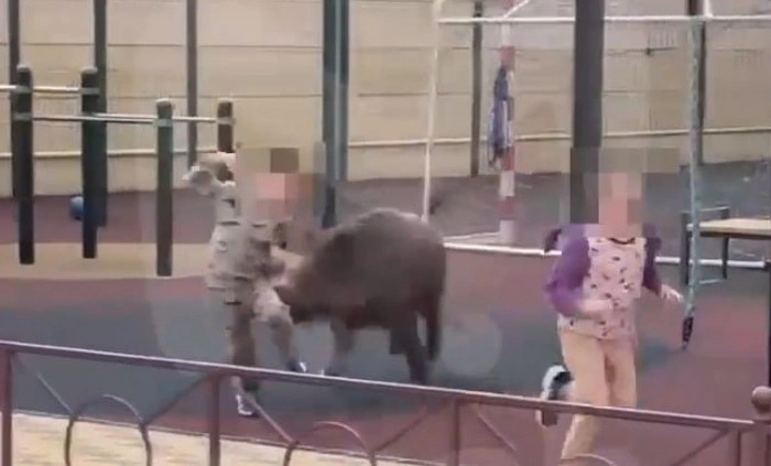 фото очевидцев.jpg фото очевидцев.jpg