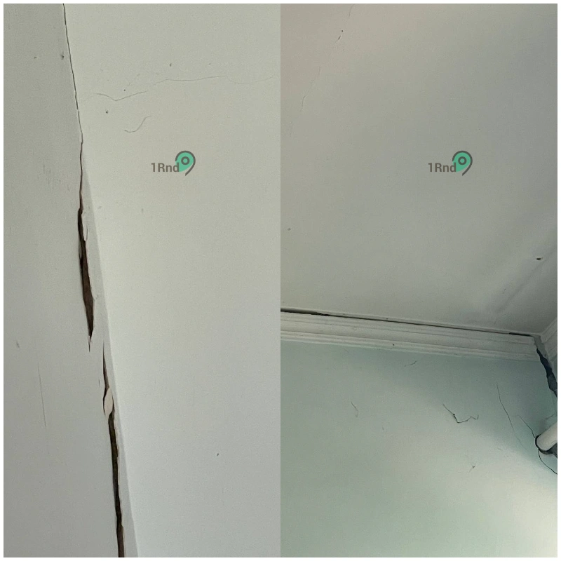 collage (1).png collage (1).png