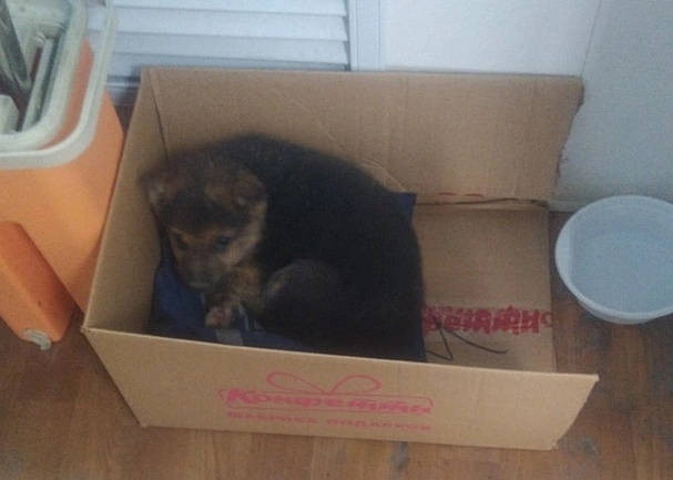 48crLTHAxAg (1).jpg 48crLTHAxAg (1).jpg