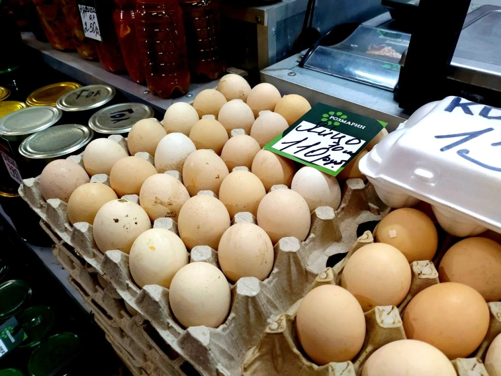 5375393506908038154 (1) (1).jpg 5375393506908038154 (1) (1).jpg