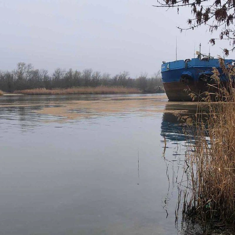 1abd1813-d8b9-499d-adb3-0367d3830009.jpg 1abd1813-d8b9-499d-adb3-0367d3830009.jpg