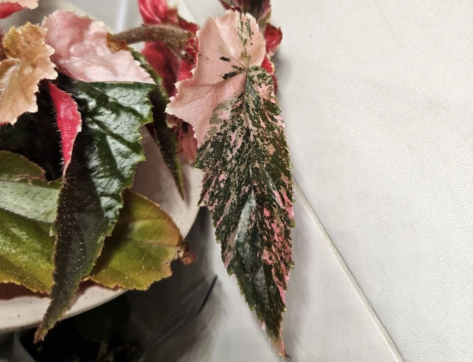 845jct3jtfxz3n6y4x5e5e0jr2wuo2wz.jpg 845jct3jtfxz3n6y4x5e5e0jr2wuo2wz.jpg