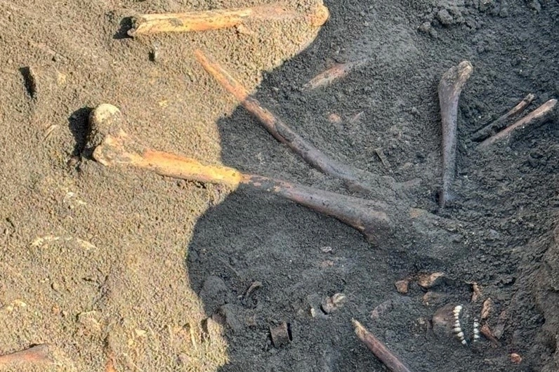 миускости.jpg миускости.jpg