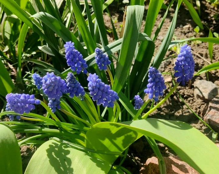 bad279bc-0ba8-4e45-986b-8cf09cee1086 (1).jpeg bad279bc-0ba8-4e45-986b-8cf09cee1086 (1).jpeg