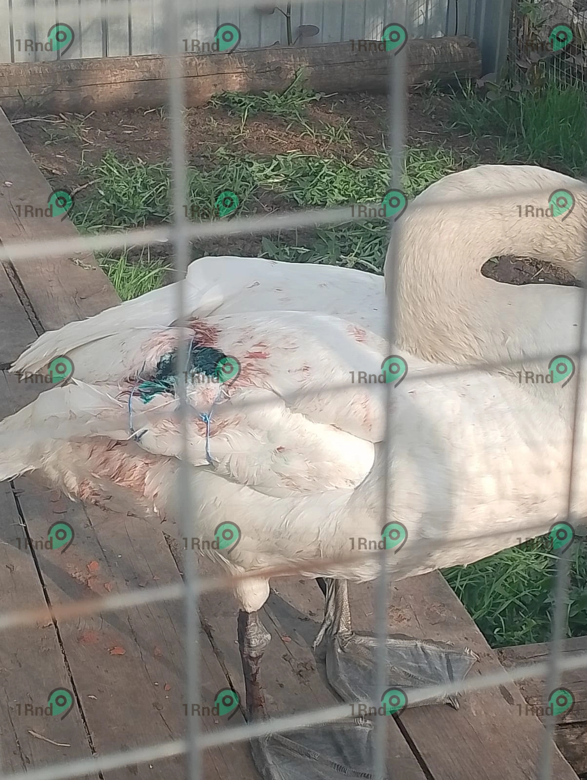 661ab02502275_1d801a57-cc6f-4cfa-9f3e-caac0ed33ffb.jpg 661ab02502275_1d801a57-cc6f-4cfa-9f3e-caac0ed33ffb.jpg