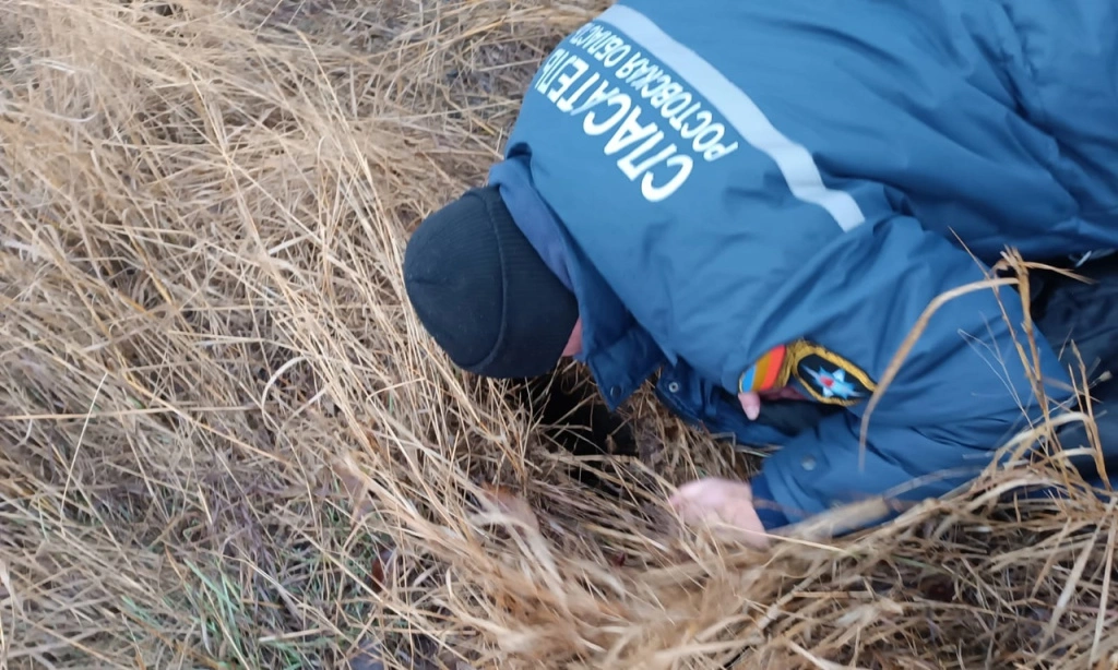 Y8ubOIxVpDM (1).jpg Y8ubOIxVpDM (1).jpg