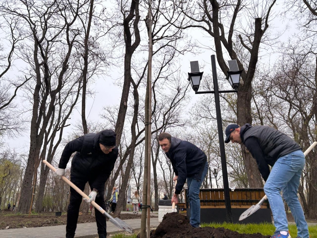 сквер2.jpg сквер2.jpg