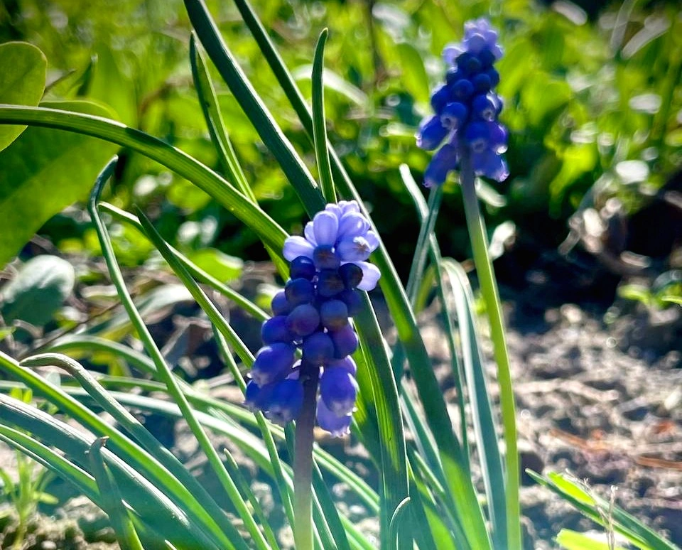 5192962696541239161 (1).jpg 5192962696541239161 (1).jpg