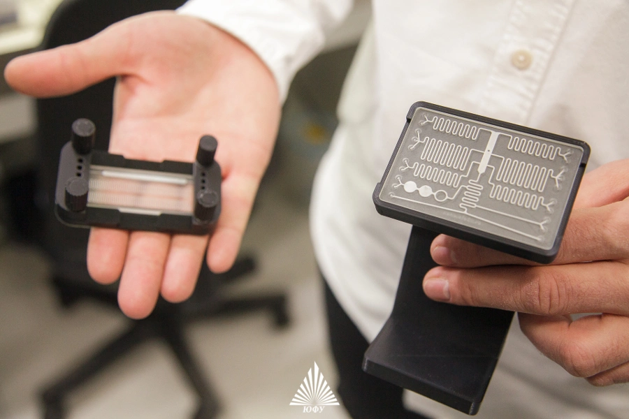 чип.jpg чип.jpg