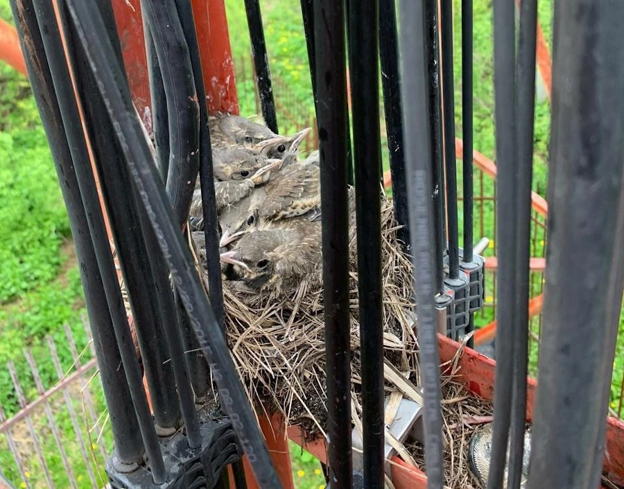 WhatsApp Image 2023-09-12 at 14.26.50.jpeg WhatsApp Image 2023-09-12 at 14.26.50.jpeg