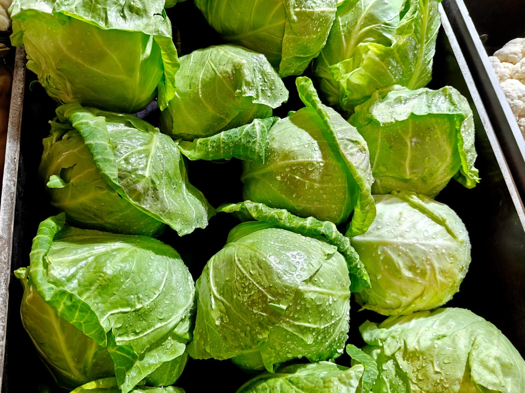 IMG20250327094331 (1).jpg IMG20250327094331 (1).jpg