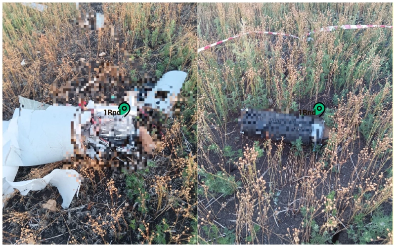 collage.png collage.png