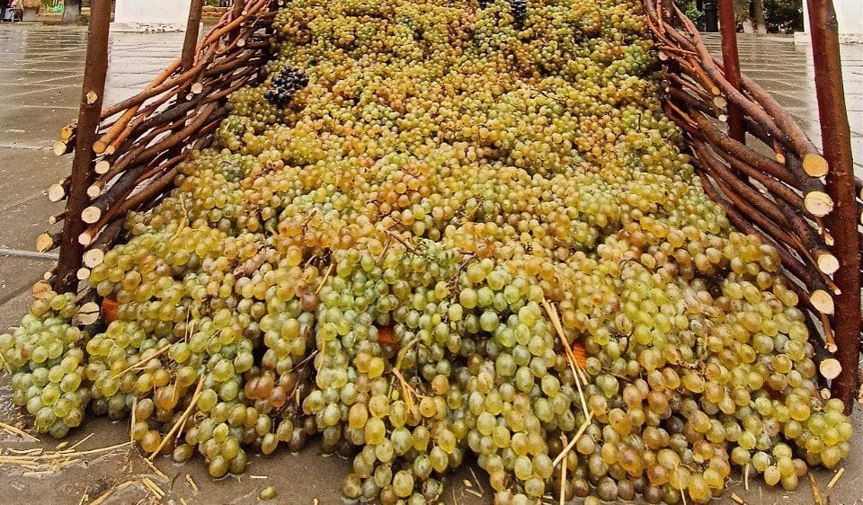 виноград.jpg виноград.jpg