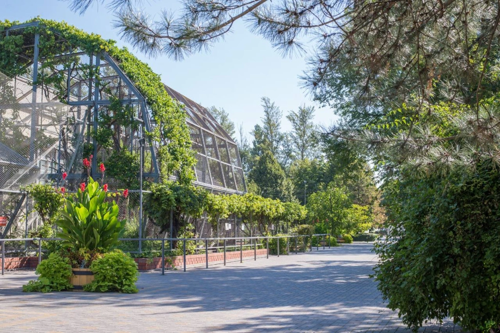 8d0aa8d7-2ef5-4656-b079-750ef6d2ed30.jpg 8d0aa8d7-2ef5-4656-b079-750ef6d2ed30.jpg