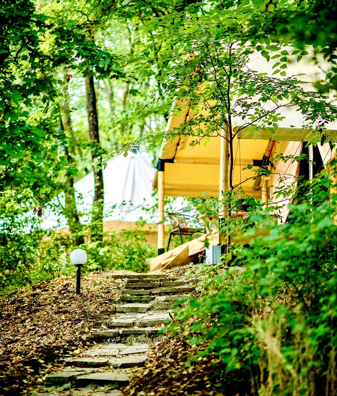 IMG_8589.jpg IMG_8589.jpg