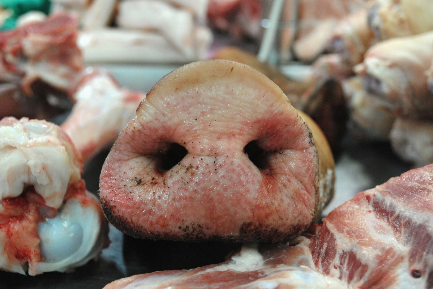 холодецПятак.jpg холодецПятак.jpg