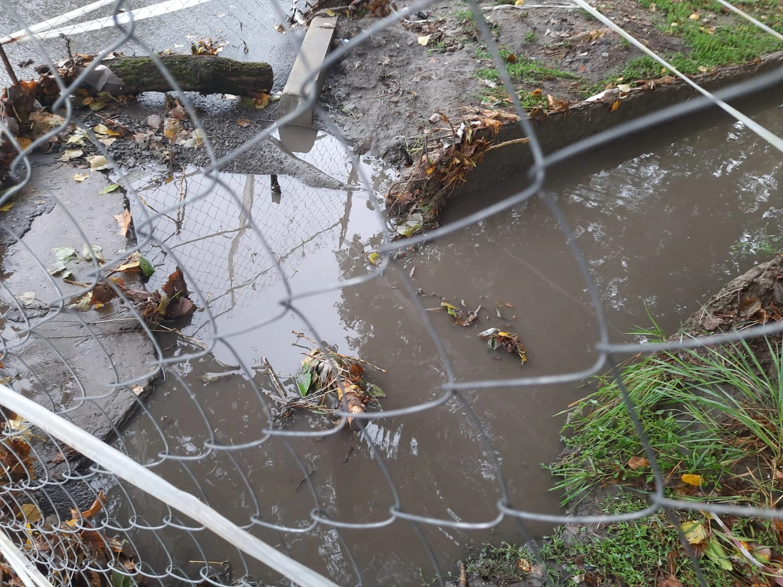 ливневкаМусор.jpg ливневкаМусор.jpg