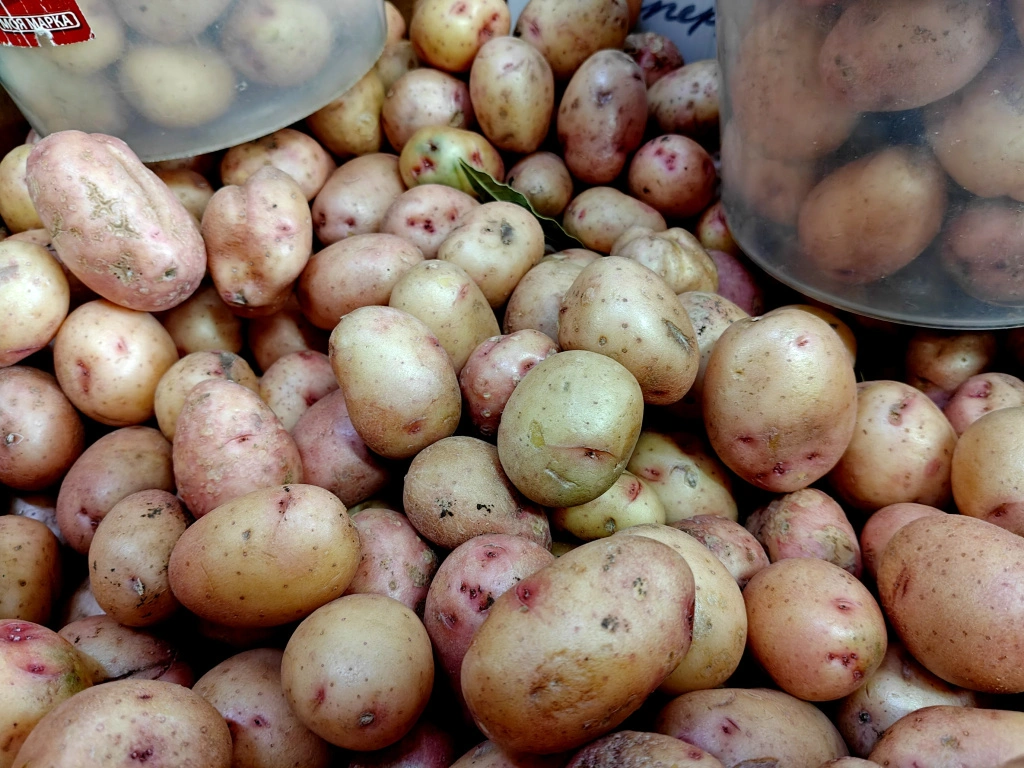 IMG20250327094605 (1).jpg IMG20250327094605 (1).jpg