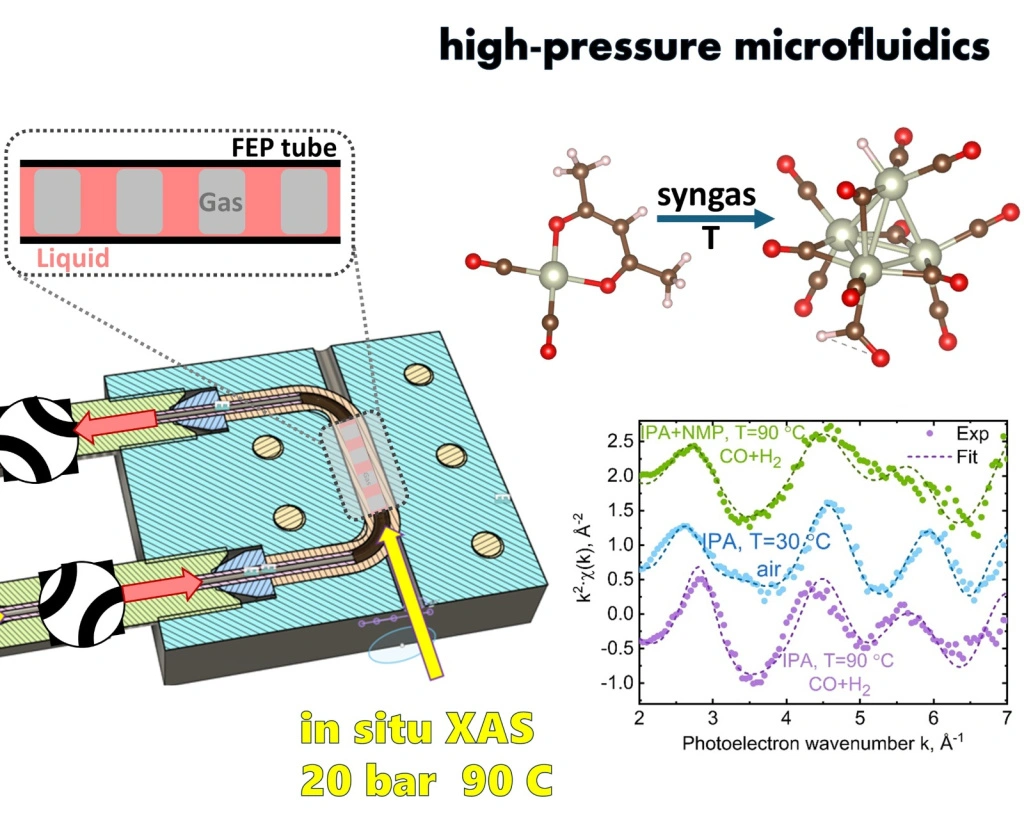 24744f4e-5994-4470-a886-329343c5f3d1.jpeg 24744f4e-5994-4470-a886-329343c5f3d1.jpeg