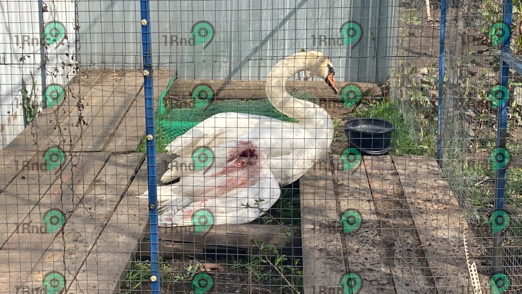 661ab027e657f_IMG_2400.JPG 661ab027e657f_IMG_2400.JPG