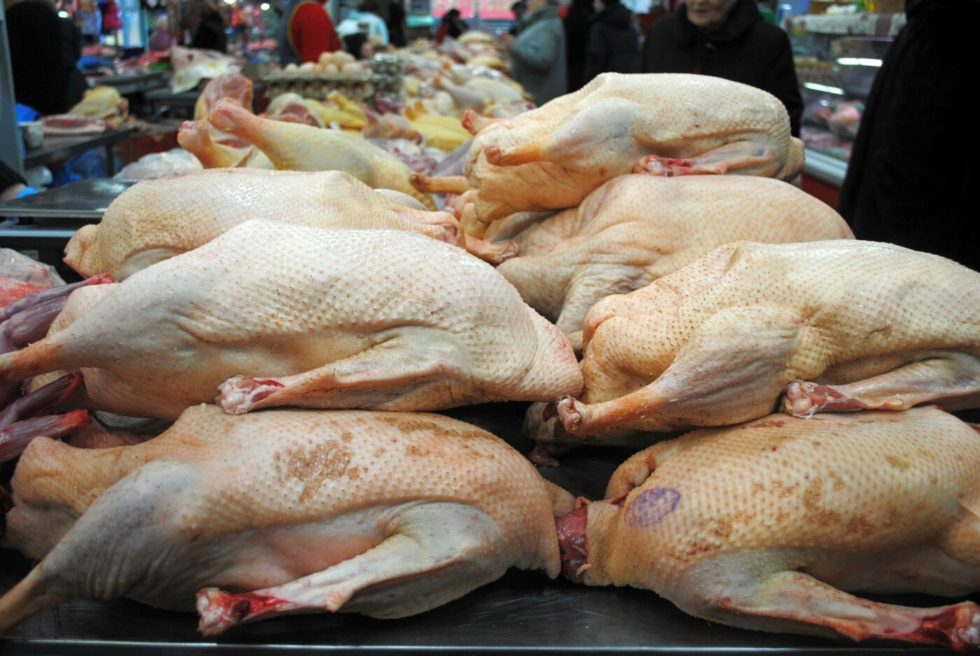 гуси.jpg гуси.jpg